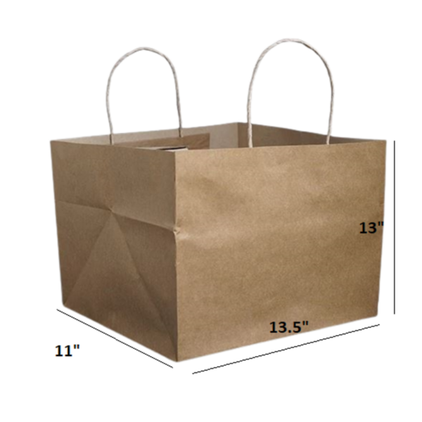 11x13.5x13 Paper Carry bag
