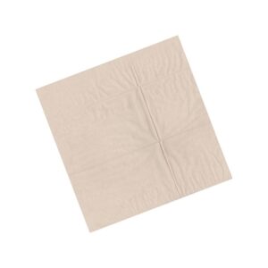 27 cm x 27 cm - Recycled Single Ply