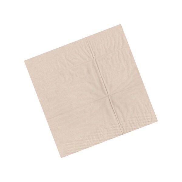 27 cm x 27 cm - Recycled Single Ply