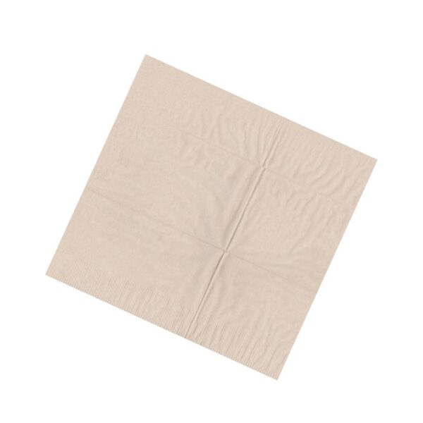 27 cm x 30 cm - Recycled Single Ply