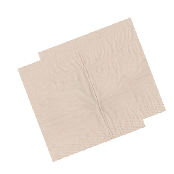 27 cm x 27 cm - Recycled 2 Ply