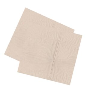 27 cm x 30 cm - Recycled 2 Ply