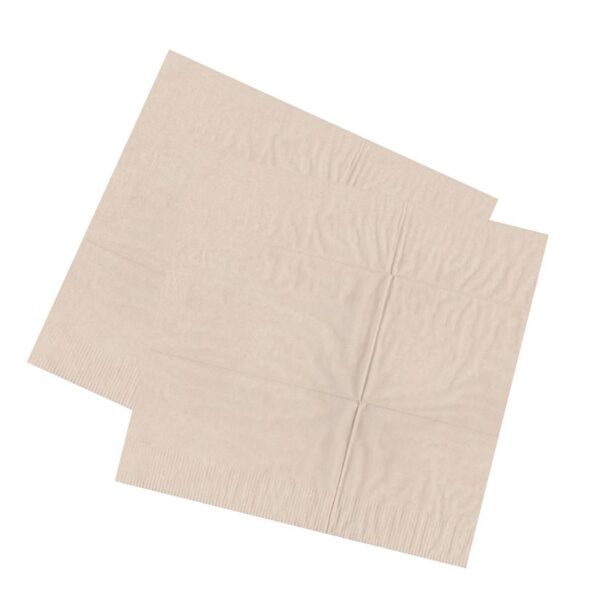 27 cm x 30 cm - Recycled 2 Ply