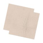 30 cm x 30 cm - Recycled 2 Ply