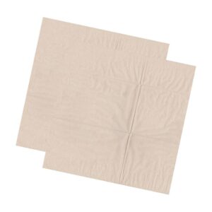 30 cm x 30 cm - Recycled 2 Ply