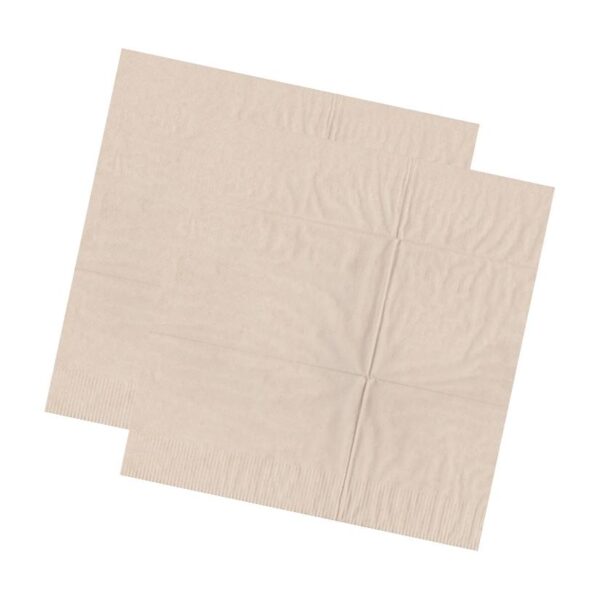 30 cm x 30 cm - Recycled 2 Ply