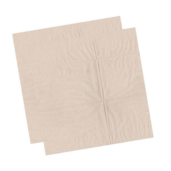 32 cm x 32 cm - Recycled 2 Ply