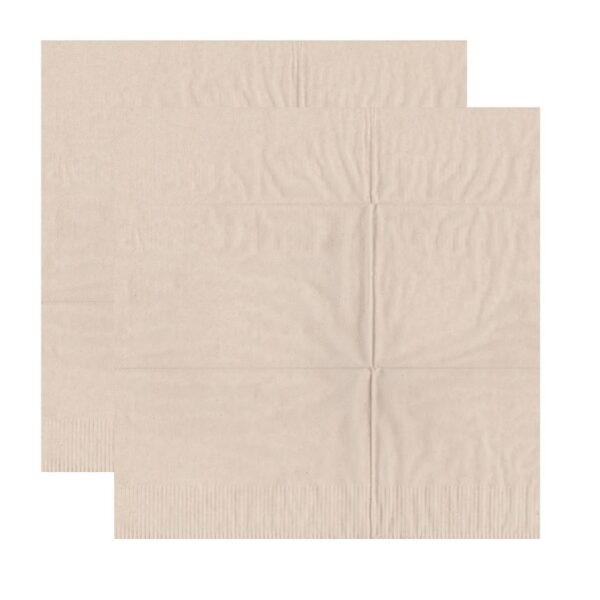 40 cm x 40 cm - Recycled 2 Ply