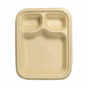 3 CP Snack Tray